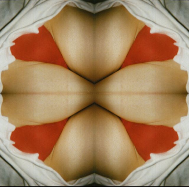 Image of artwork titled "My Funny Valentine" by BREYER P-ORRIDGE