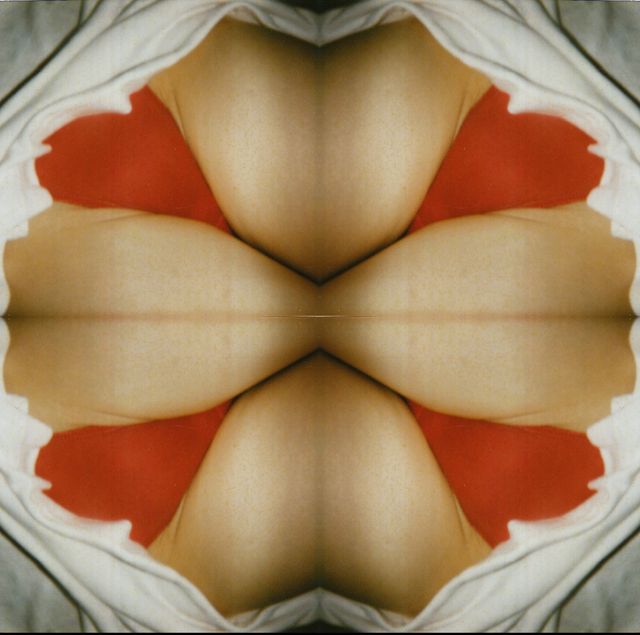 Image of artwork titled "My Funny Valentine" by BREYER P-ORRIDGE