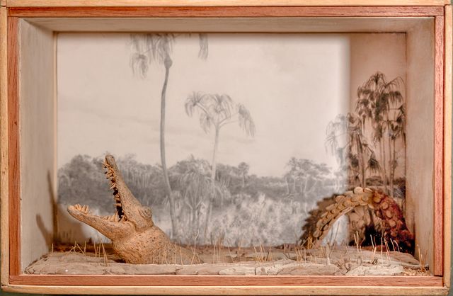 Image of artwork titled "In The Verge of Extinction (Needle caiman)" by Mariana  Varela