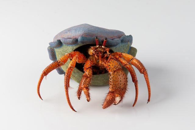 Image of artwork titled "Hermit – Father" by Charles Degeyter