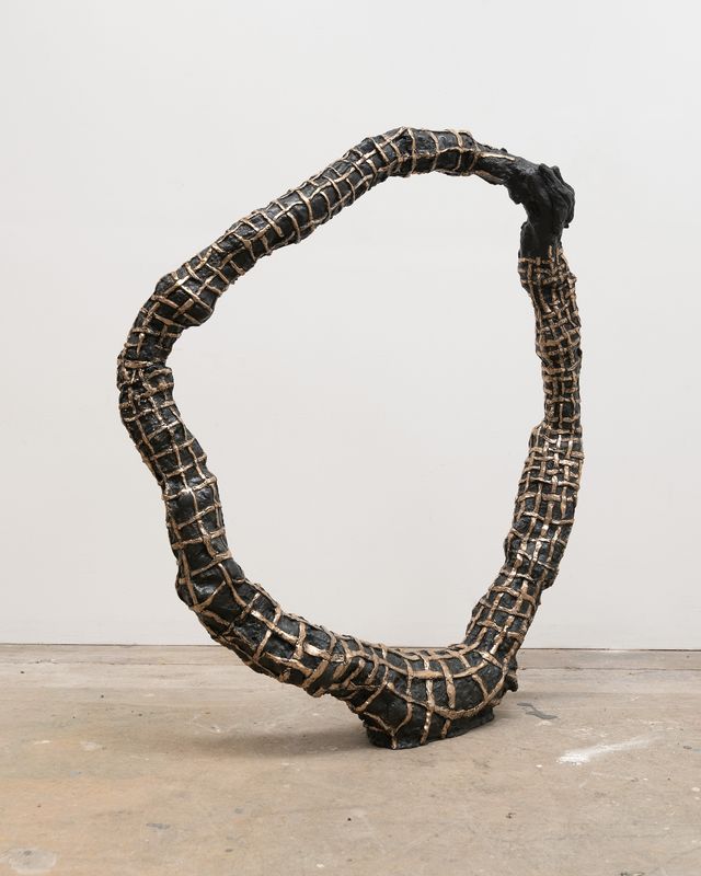 Image of artwork titled "Interlocking Torus with Weaving" by Julia Haft-Candell