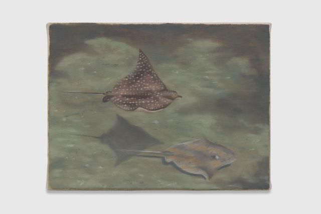 Image of artwork titled "Rays" by TJ Rinoski