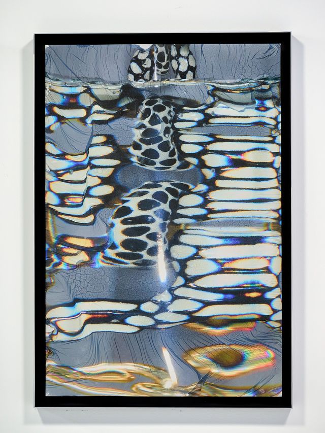 Image of artwork titled "In Rainbows" by Soraya Zaman