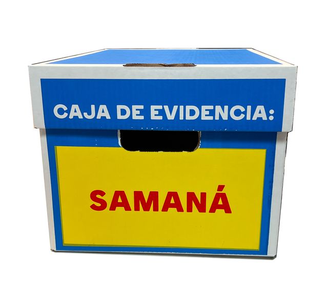 Image of artwork titled "Evidence Box" by Lizania Cruz