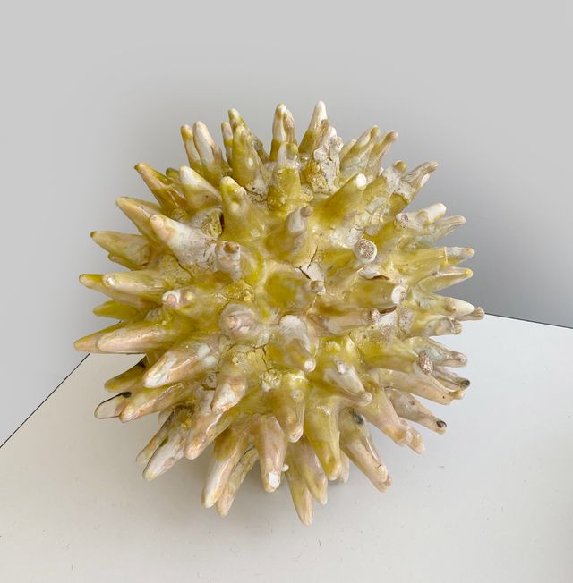 Image of artwork titled "Yellow Burst Loci" by Anina Major