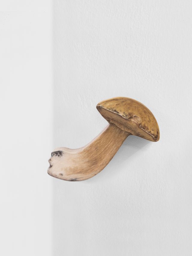 Image of artwork titled "Mushroom" by Marius Steiger