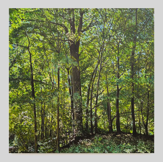 Image of artwork titled "untitled (2024.07)" by Oidie Kuijpers