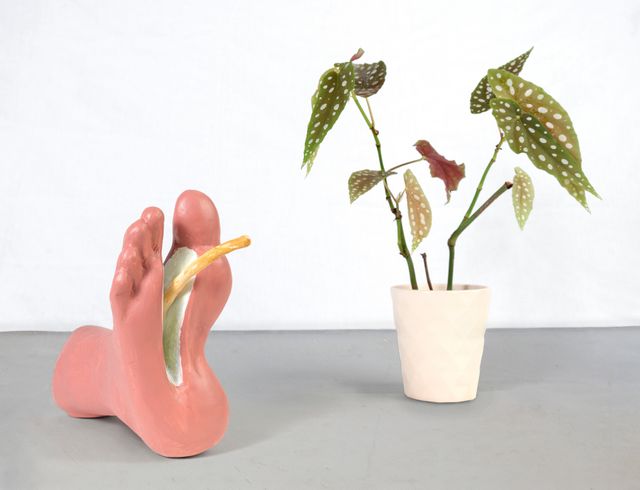 Image of artwork titled "Untitled (Foot with Spadix)" by Naufus Ramírez-Figueroa