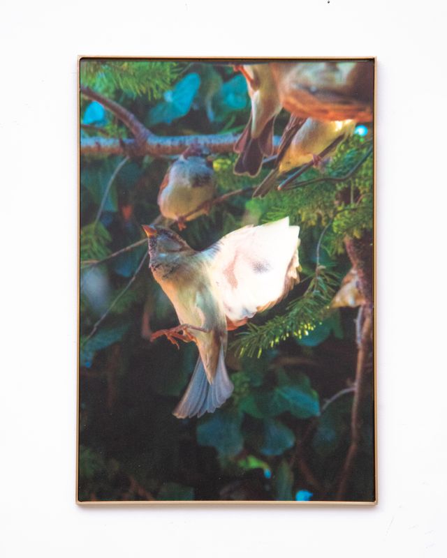 Image of artwork titled "Call A for Aphrodite" by Anaïs Horn