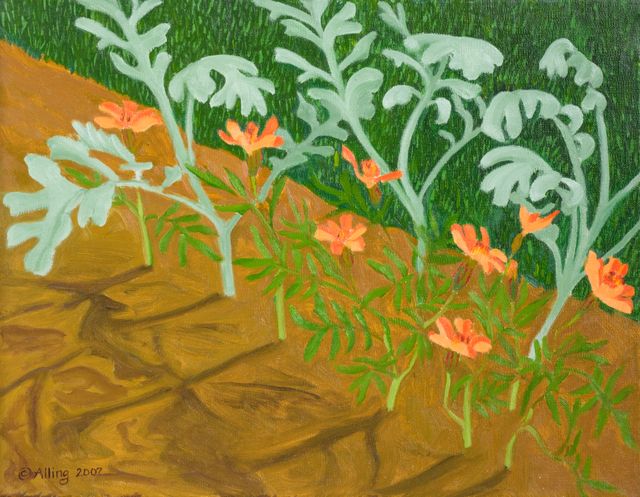 Image of artwork titled "Dusty Miller/Marigolds w/ Shadows" by Janet  Alling