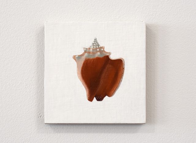 Image of artwork titled "Shelter: Mini Conch" by Maryam Amiryani