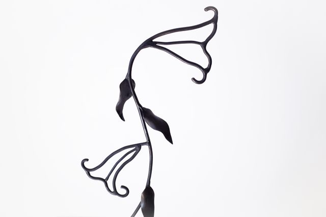 Image of artwork titled "A Cutting From a (Very Pretty) Vine That Was Strangling My Tree" by Lane  Walkup