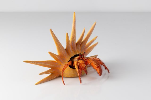 Image of artwork titled "Hermit – The Sun" by Charles Degeyter