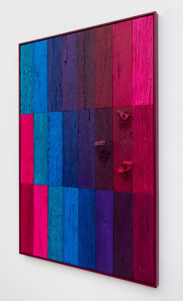Image of artwork titled "Untitled (Landscape with Mushrooms, Three Tier Shifting Spectrum Magenta-Turquoise)" by Douglas Melini