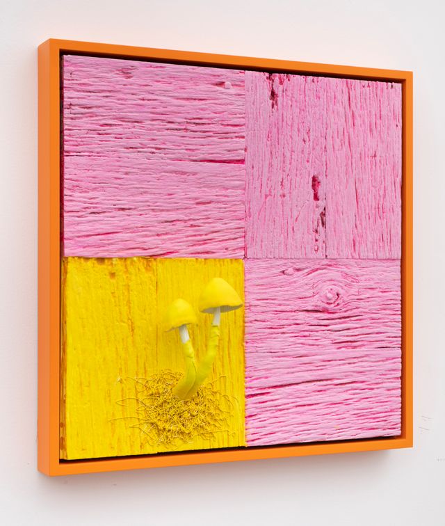 Image of artwork titled "Untitled (Mushroom Portrait, Pink and Yellow)" by Douglas Melini