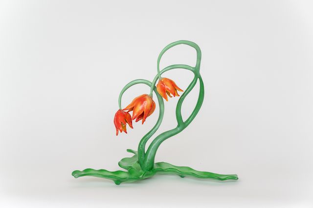Image of artwork titled "Tulipa Porta Desiderii [Gate of Desire] (Terraformer 6)" by James Jessiman