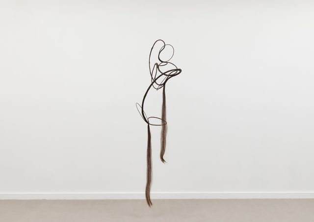 Image of artwork titled "Horse Hair Coil 02" by Aranda\Lasch and Terrol Dew Johnson