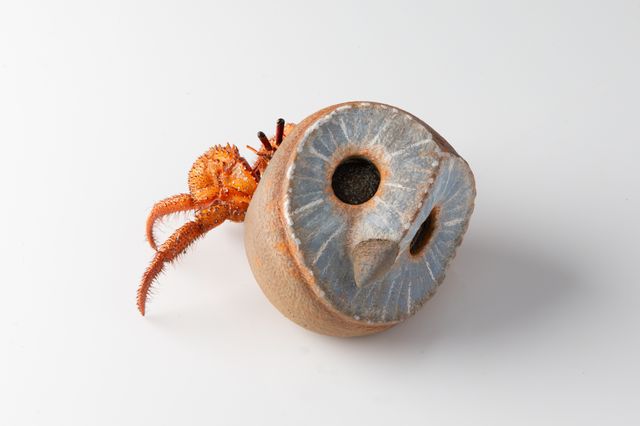 Image of artwork titled "Hermit – The Owl" by Charles Degeyter