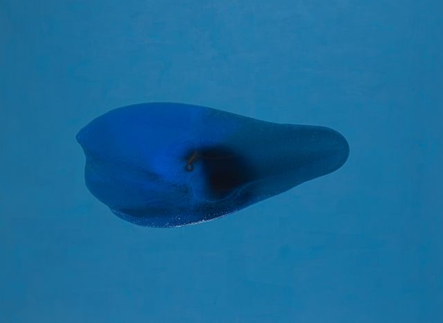 Image of artwork titled "LFBC(H)" by Kami Mierzvvinsk