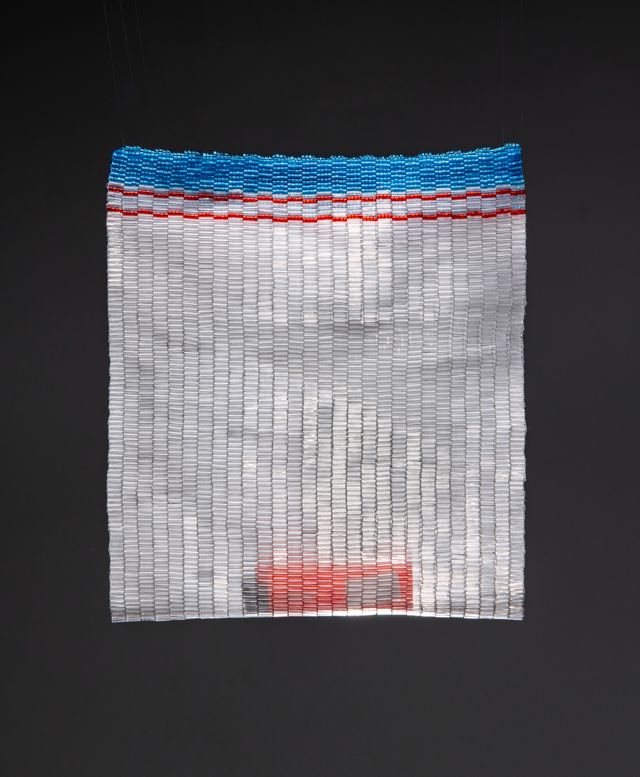 Image of artwork titled "Stash Bag" by Nico Williams