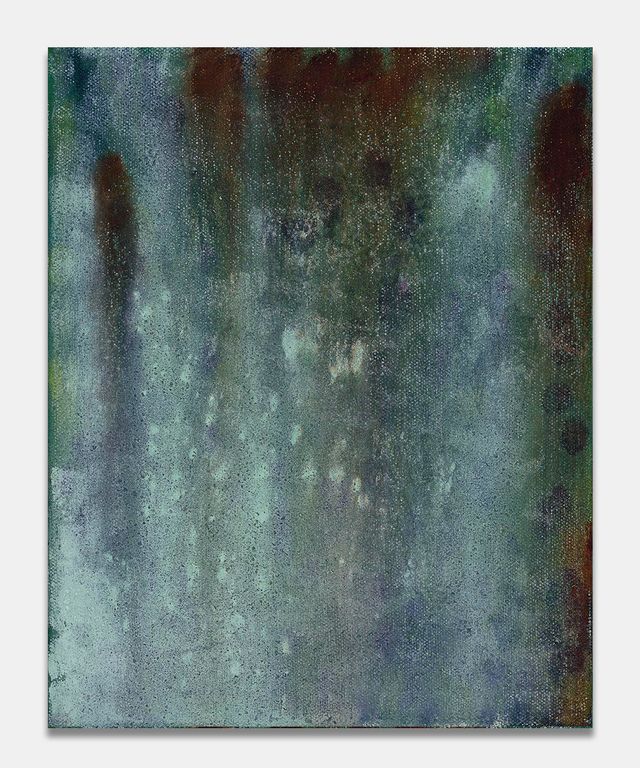Image of artwork titled "Untitled (Lichen)" by Preston Pavlis