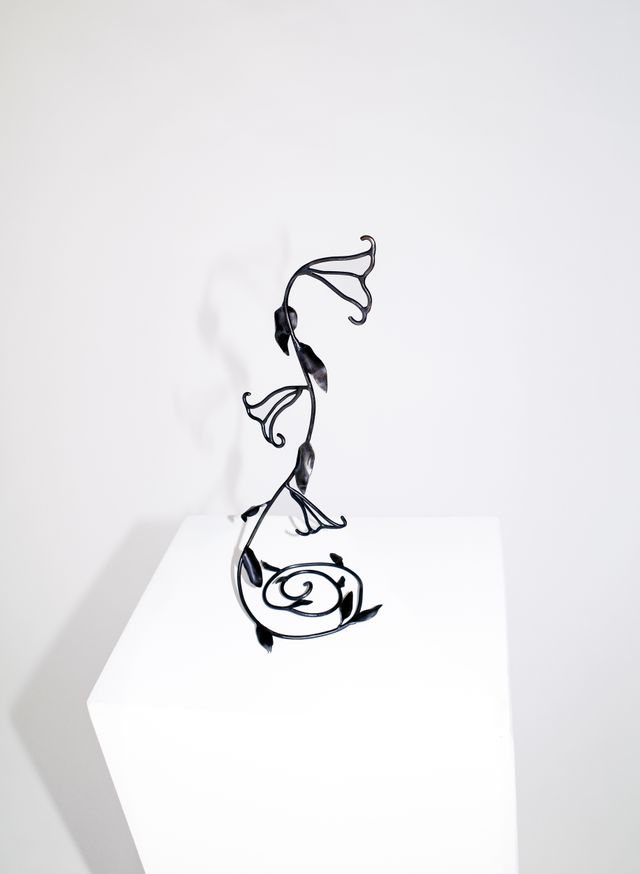 Image of artwork titled "A Cutting From a (Very Pretty) Vine That Was Strangling My Tree" by Lane  Walkup