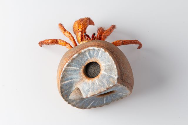 Image of artwork titled "Hermit – The Owl" by Charles Degeyter