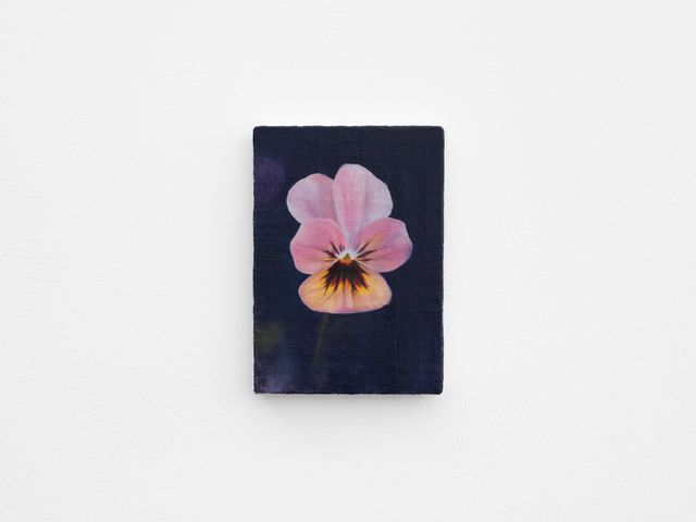 Image of artwork titled "Pansy" by Joseph Jones