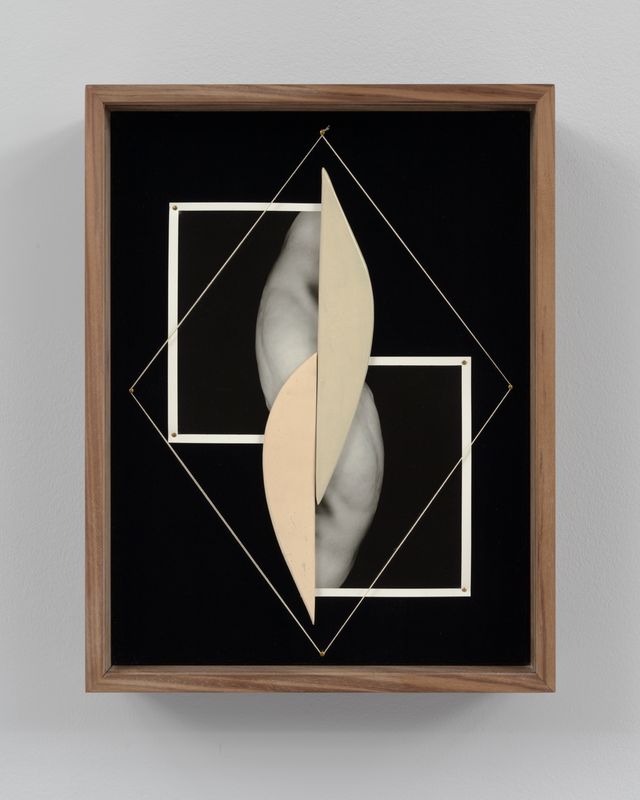 Image of artwork titled "Tonguing" by Sheree Hovsepian