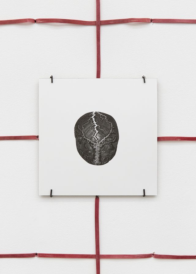 Image of artwork titled "Z (lightning slices tree)" by Tom Hardwick-Allan