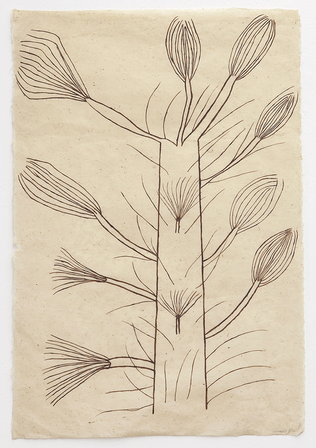 Image of artwork titled "Hii hi henaki kuami XI (Tree without leaves)" by Sheroanawe Hakihiiwe