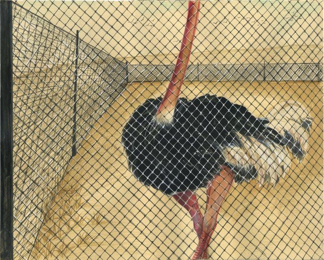 Image of artwork titled "Untitled" by Niniko Morbedadze