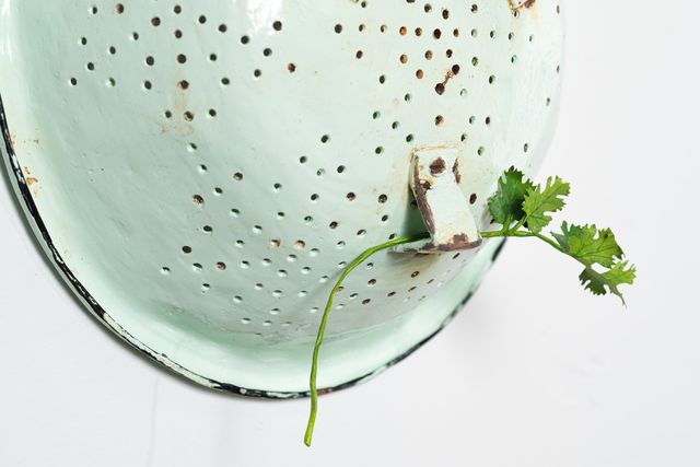 Image of artwork titled "Colander with cilantro" by Tamara Johnson