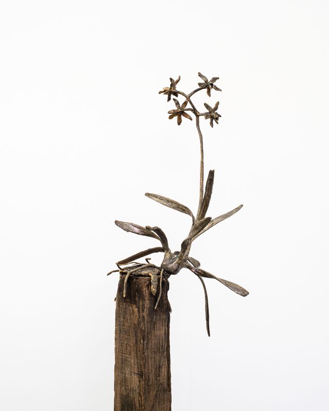 Image of artwork titled "From There On (An Orchid’s Song)" by Ernesto Solana