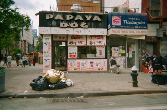 Image of artwork titled "TRASHED: Papaya Dog" by Ivan Sikic