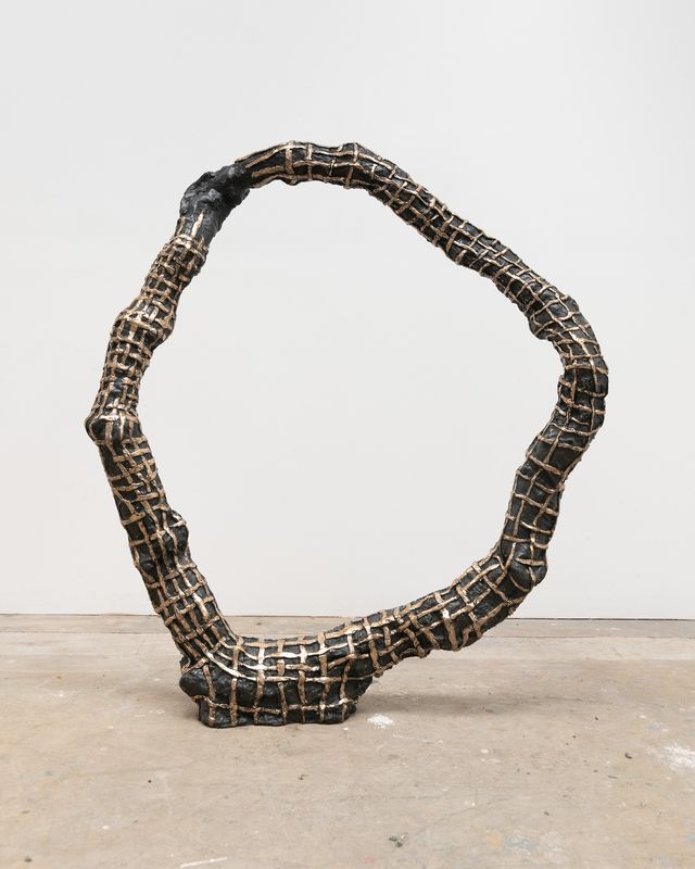 Image of artwork titled "Interlocking Torus with Weaving" by Julia Haft-Candell