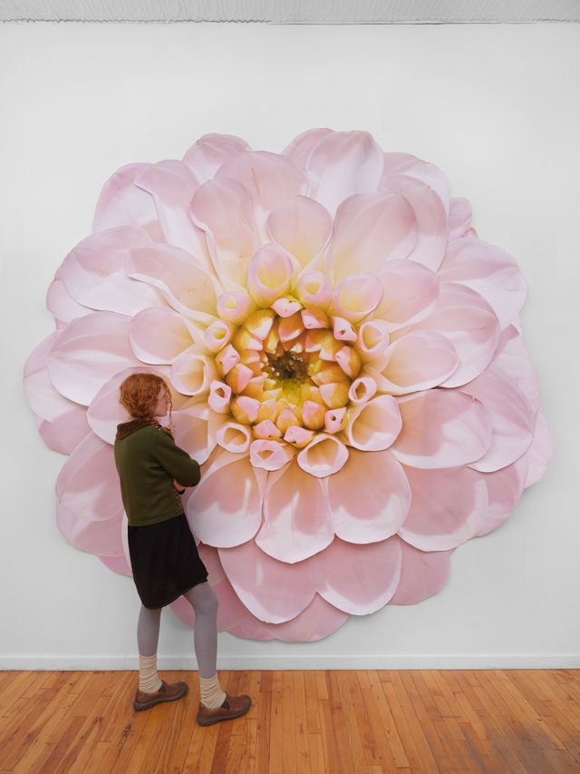 Image of artwork titled "Pink Dahlia" by Benjamin Langford