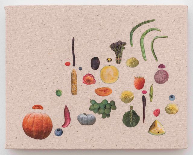 Andrea McGinty, “How Long Gone,” 2025, seed catalog, PVA, and UV varnish on canvas, 8 x 10 inches.