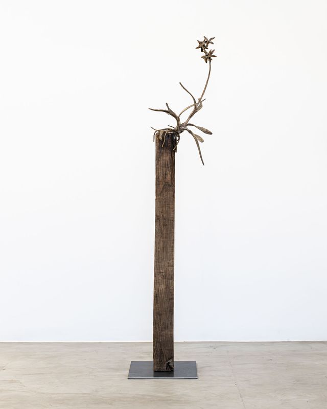Image of artwork titled "From There On (An Orchid’s Song)" by Ernesto Solana