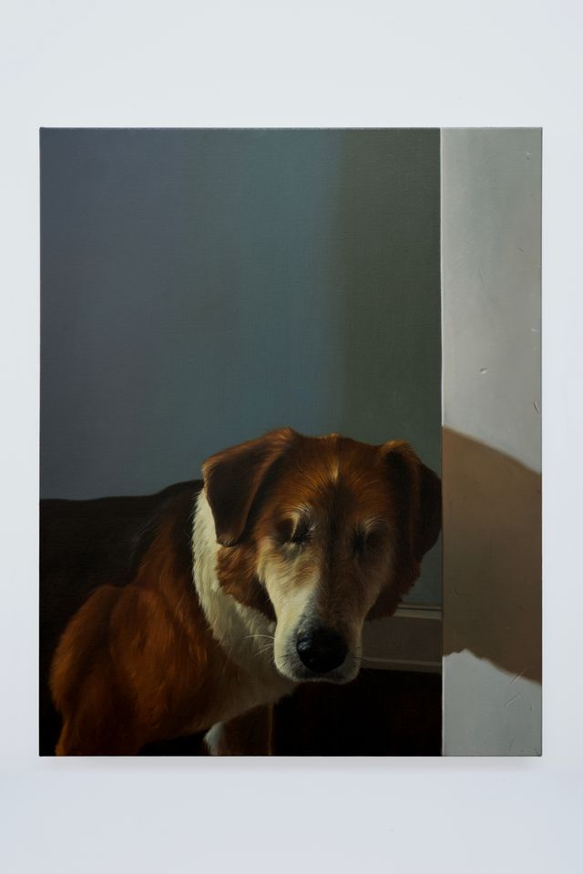 Image of artwork titled "Dog" by Paul Rouphail