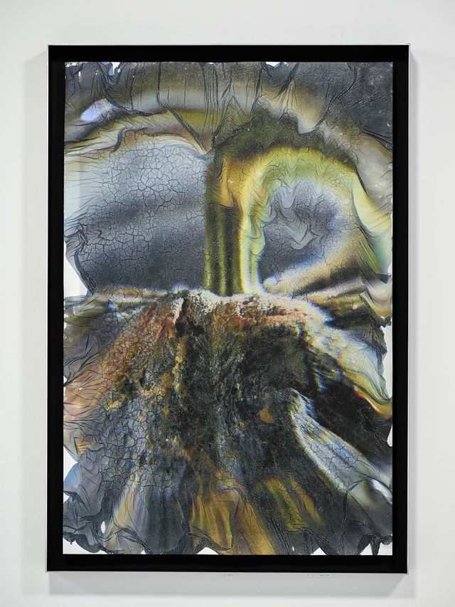 Image of artwork titled "Smashing Pumpkin" by Soraya Zaman