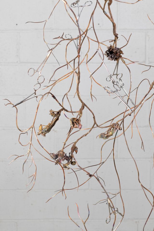Image of artwork titled "Radical Neck Dissection" by Ben Gould