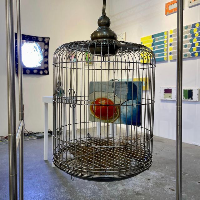 Image of artwork titled "Story of egg (bird gallery for bird) " by COBRA
